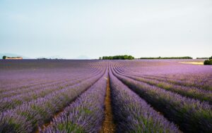 kamperen-in-zuid-frankrijk
