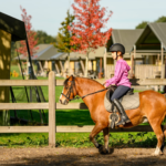 FarmCamps De Smulhoeve