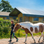 FarmCamps Fleur Stables