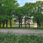 Camping La Tour Du Stock