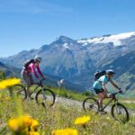 VVF Villages - Le Parc de la Vanoise - Lanslevillard